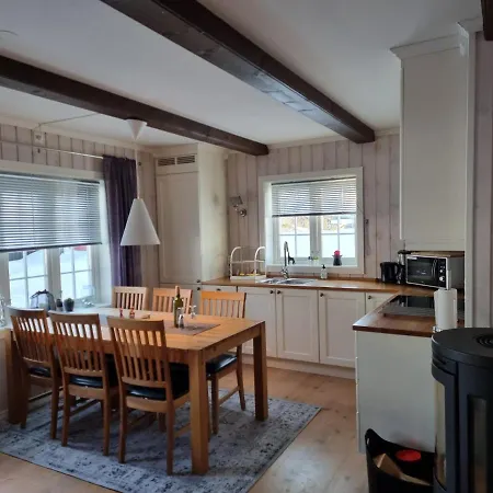 Gaustatoppen Appartement
